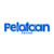 Pelataan – tiedot, lisenssi ja huomioitavat